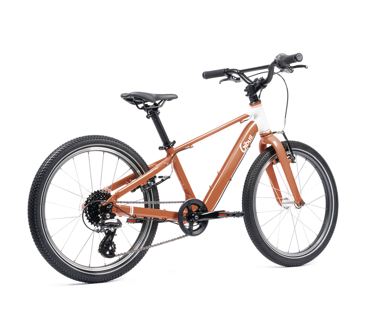 Kinderfahrrad 20 Zoll | Von 6 bis 9 Jahren