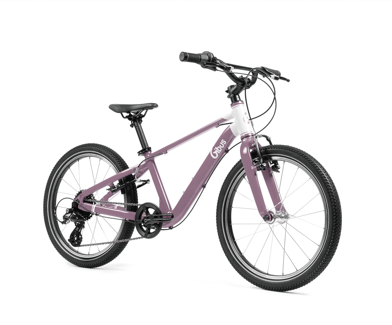 Vélo 20 pouces