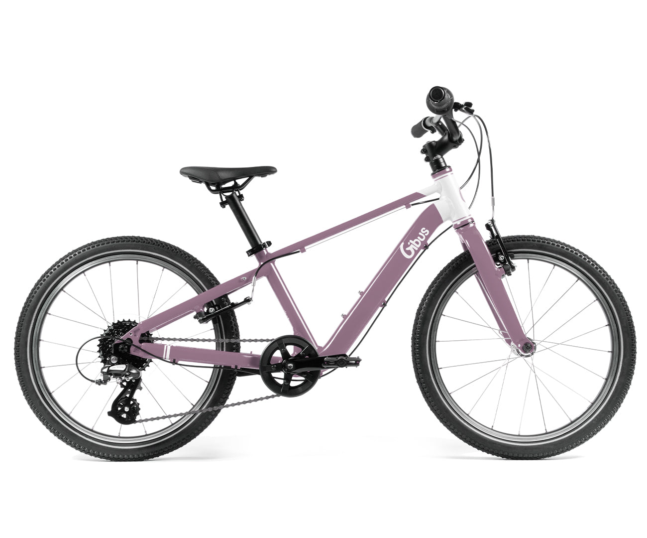 Kinderfahrrad 20 Zoll
