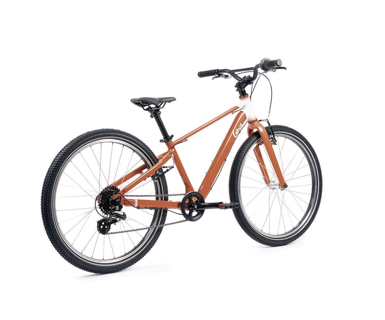 Vélo 24 pouces