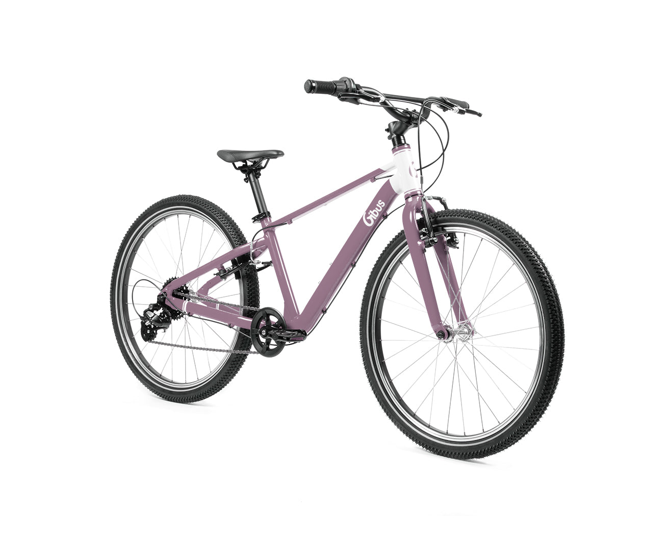 Kinderfahrrad 24 Zoll - MTB | Für Kinder von 9 bis 14 Jahren | Junge