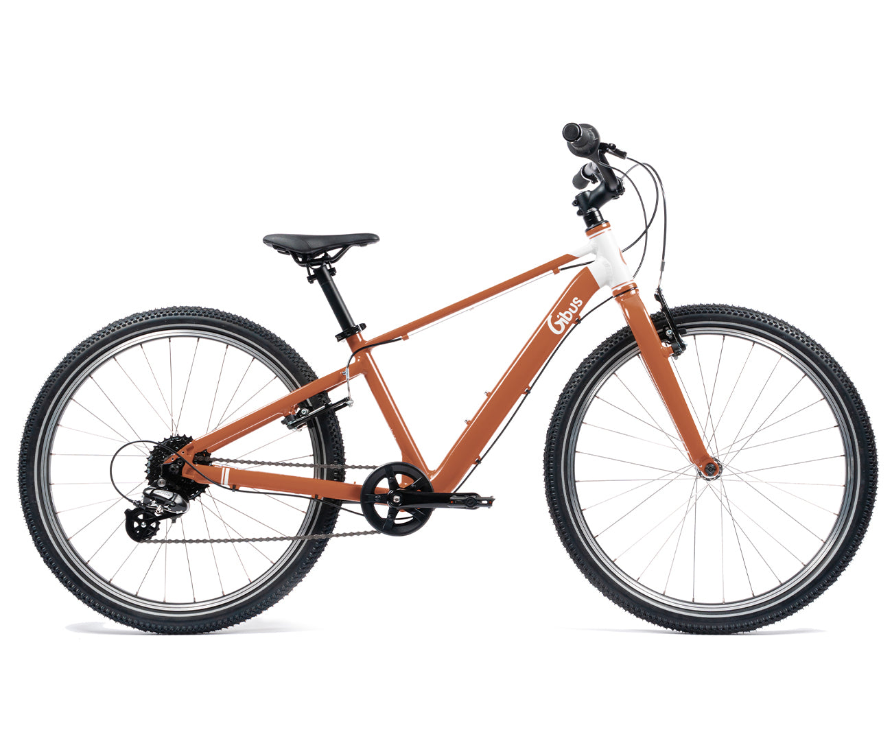 Kinderfahrrad 24 Zoll - MTB | Für Kinder von 9 bis 14 Jahren | Junge