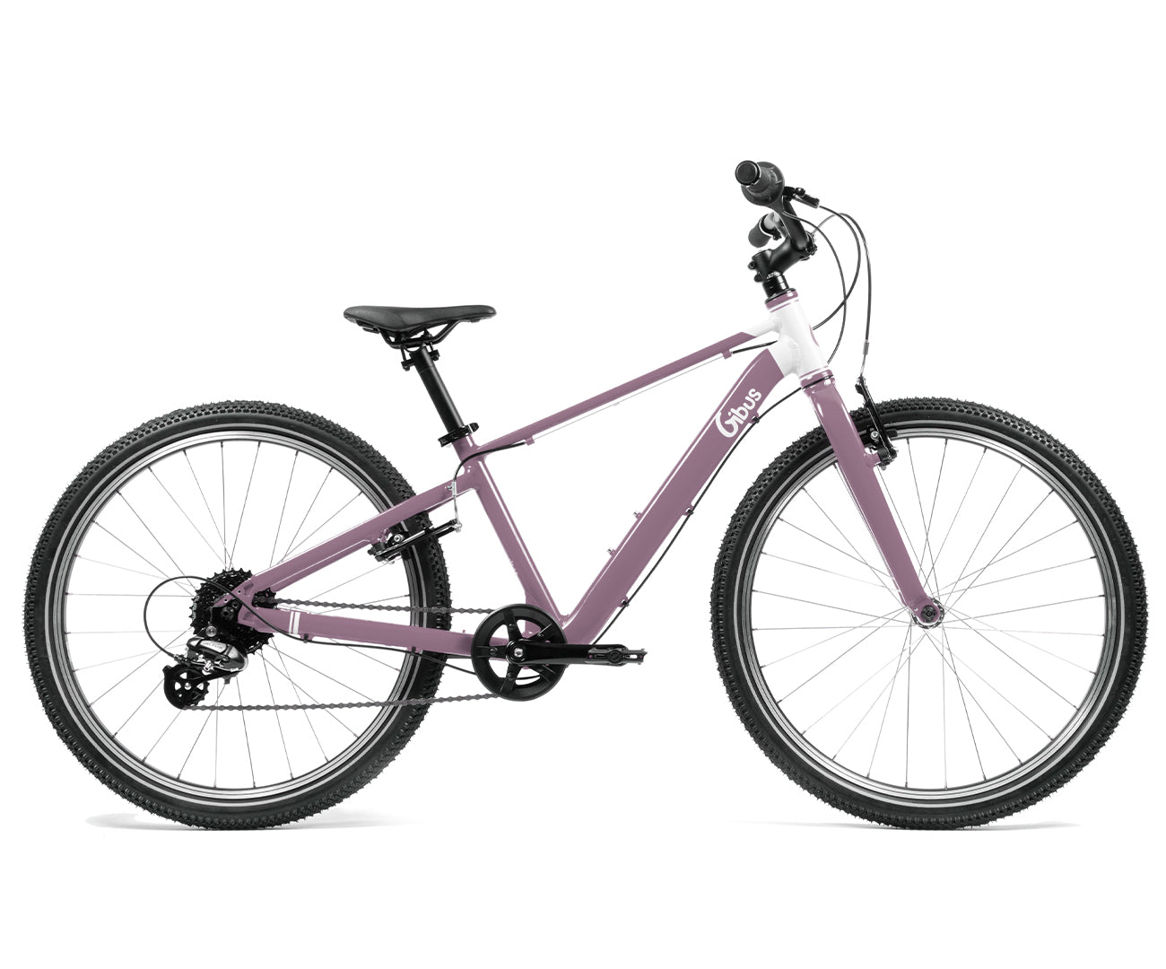Kinderfahrrad 24 Zoll - MTB | Für Kinder von 9 bis 14 Jahren | Junge