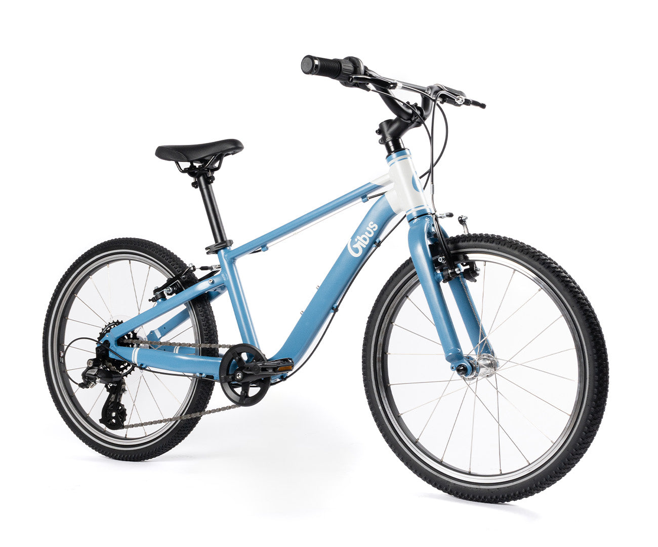 VTT 20" Rouge - Vélo De Fitness 20 Pouces - Vélo De Montagne - VTT Pour Enfants - VTT En Acier
