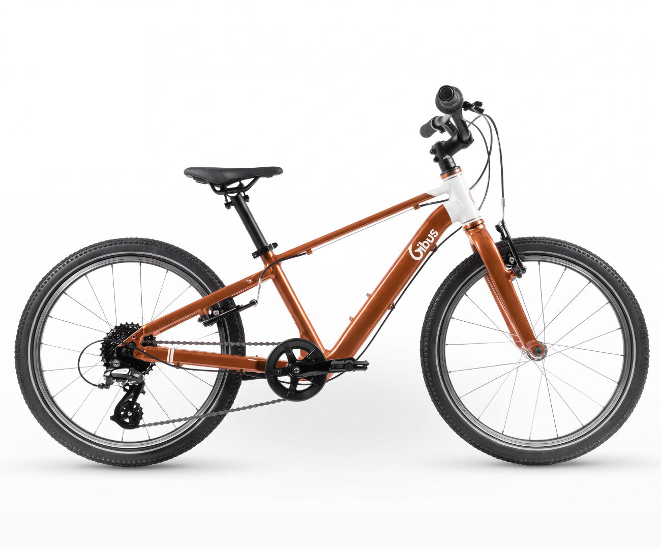 Vélo 20 pouces