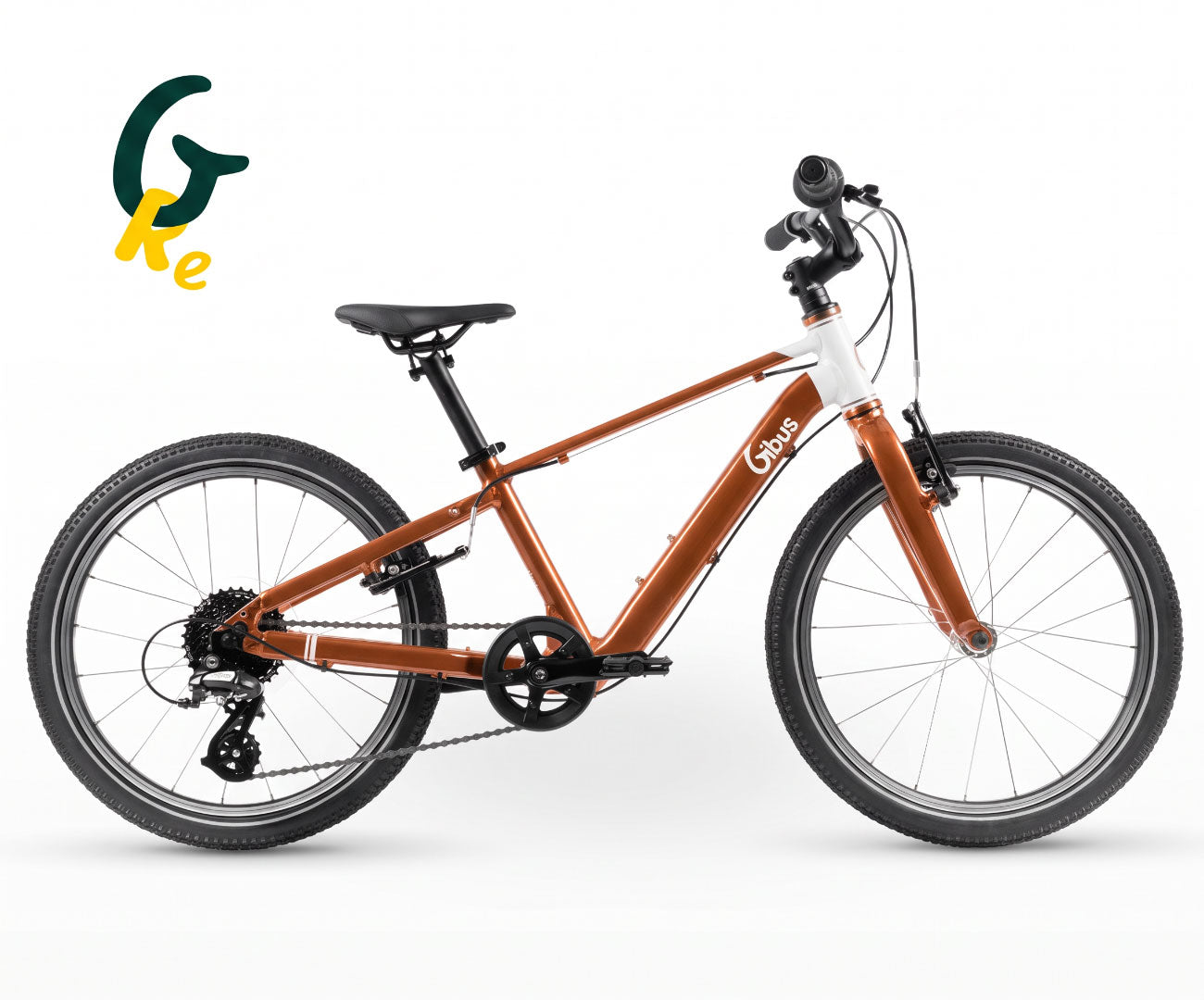 Vélo 20 pouces | Reconditionné