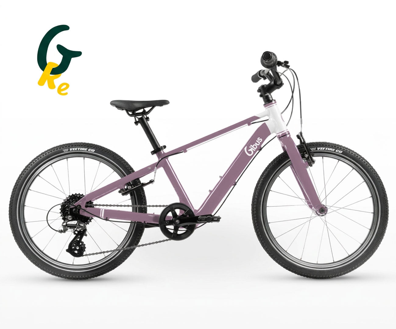 Vélo 20 pouces | Reconditionné