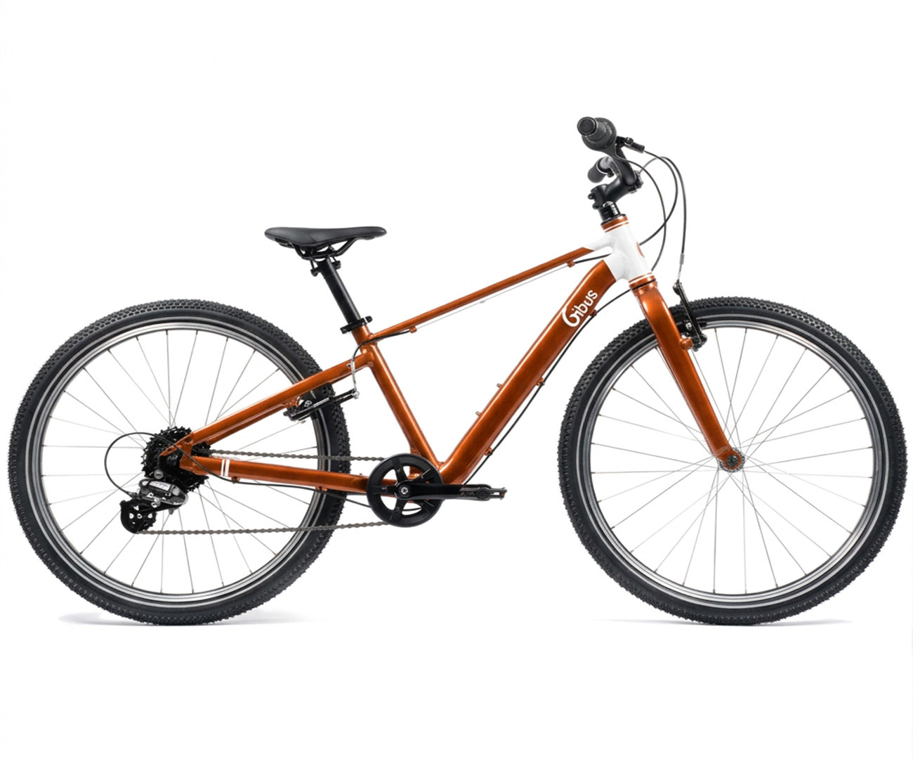 Vélo 24 pouces